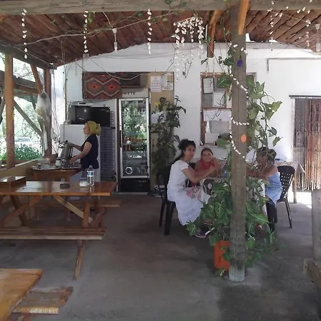 Guest house Asik Olympos